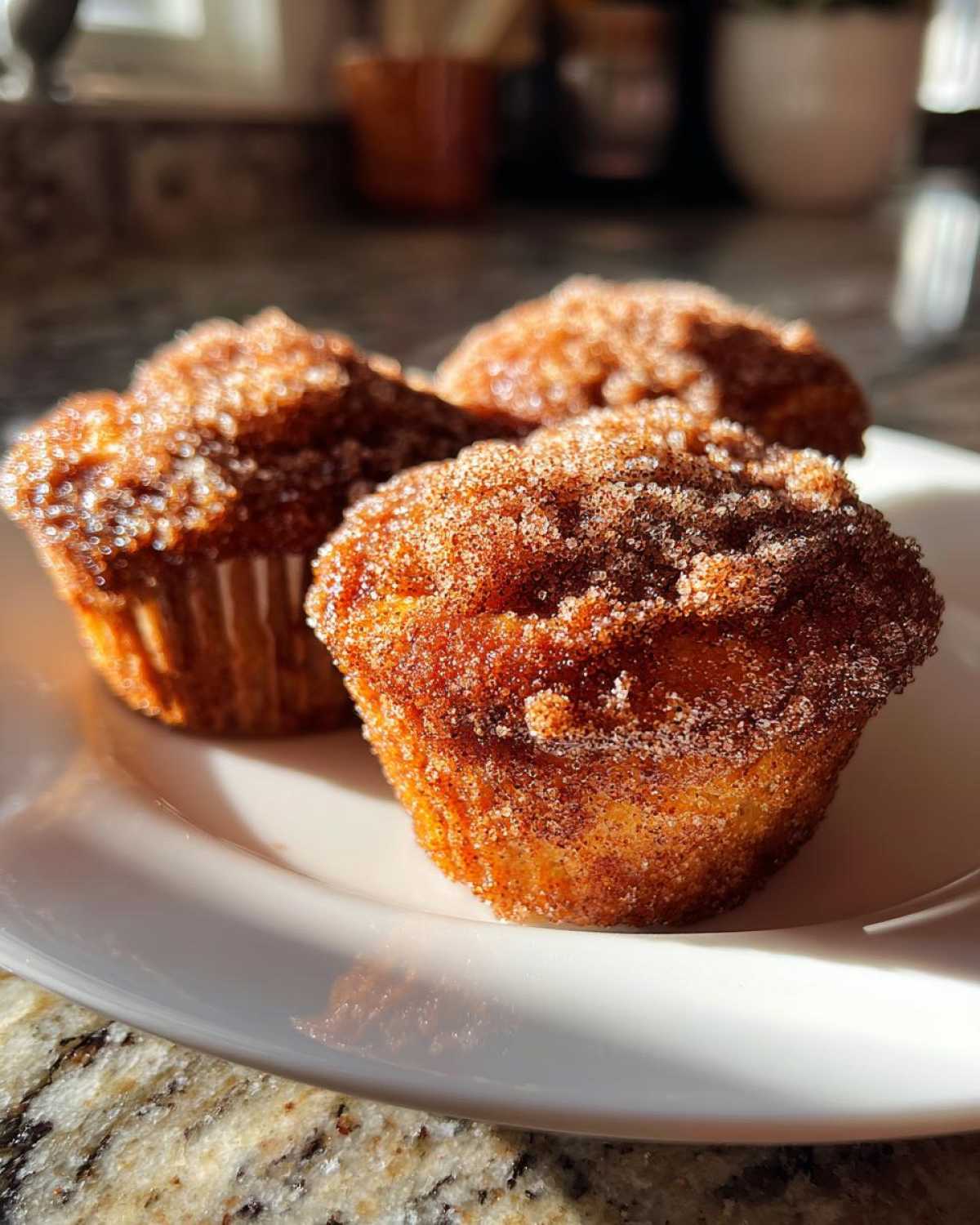 Apple Cider Donut Muffins - detail 2