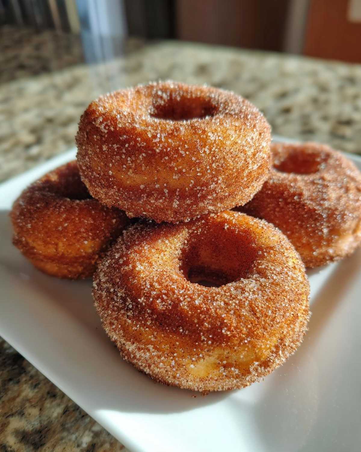Baked Apple Cider Donuts - detail 1