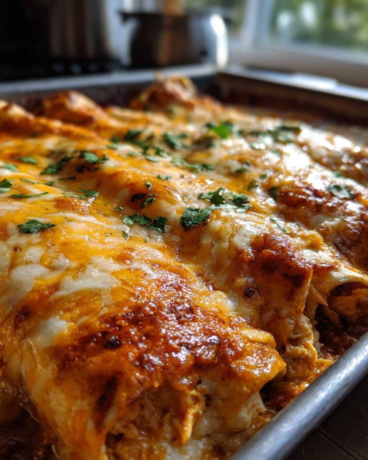Cheesy Chicken Enchiladas - detail 3