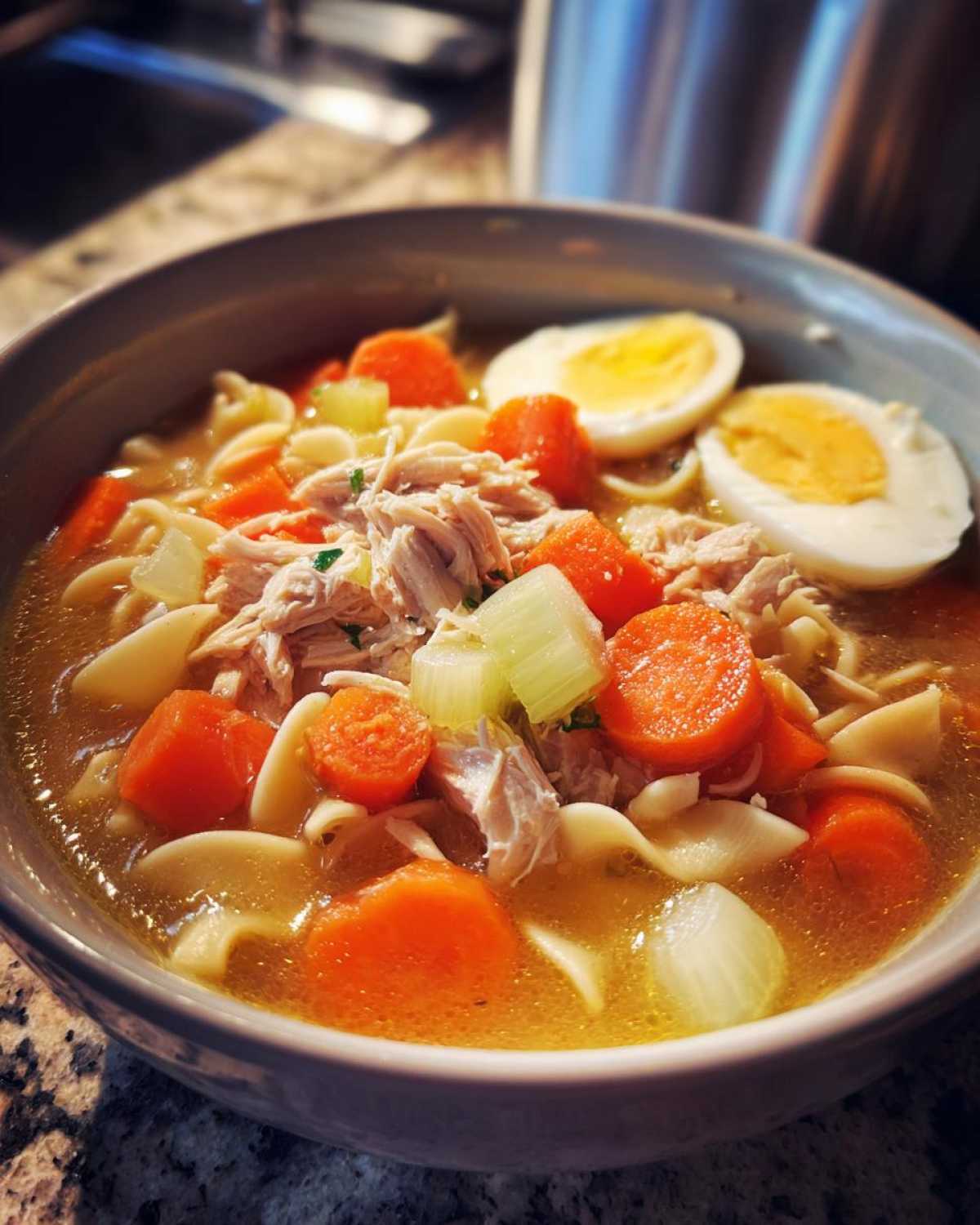 Instant Pot Chicken Noodle Soup - detail 1