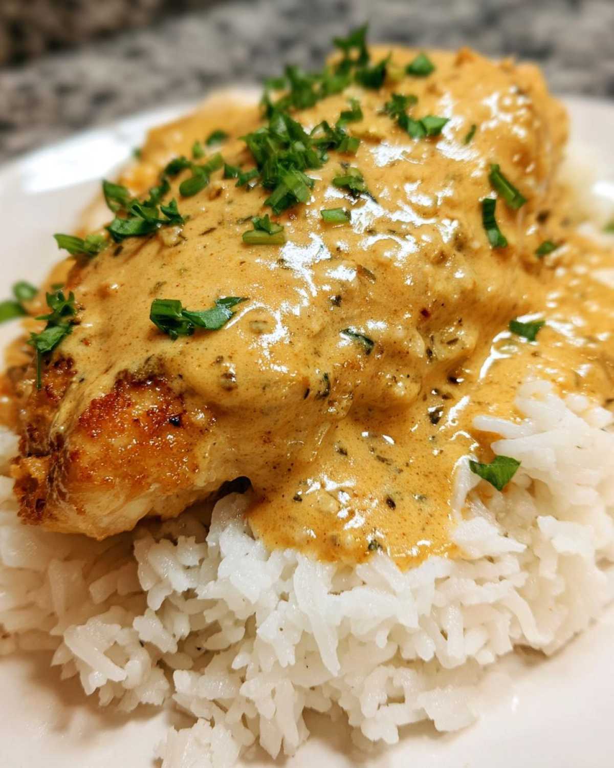 Close-up of a perfectly cooked smothered chicken and rice, topped with rich, creamy sauce and fresh parsley.