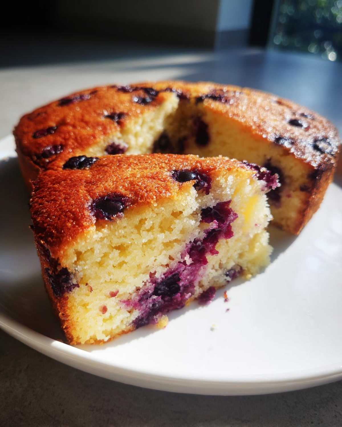 Close-up of a slice of moist, golden blueberry breakfast cake on a white plate.